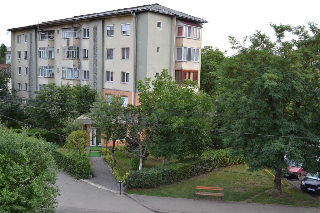 Pension Coral Baia Mare Buitenkant foto